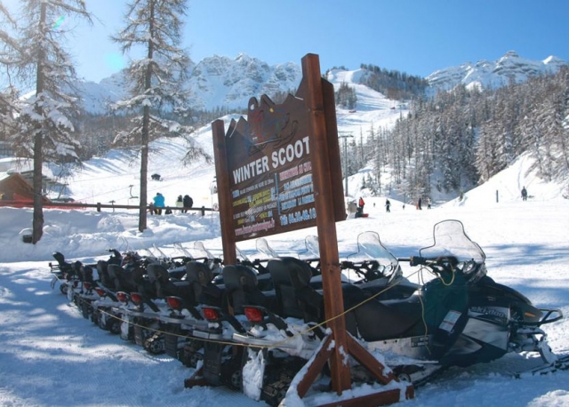 Inicio Winter Scoot